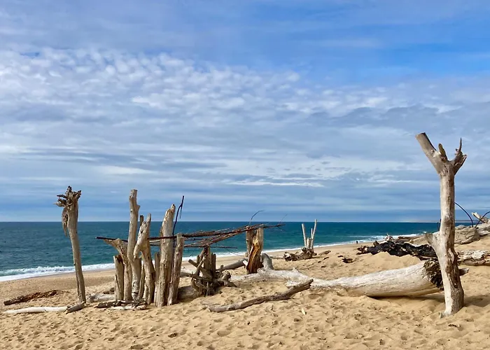 Vagues De Vie * ラバンヌ