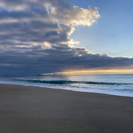 Vagues De Vie *