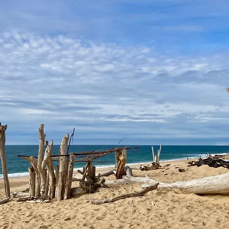 Vagues De Vie * Labenne