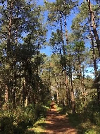 Villa Vagues De Vie *